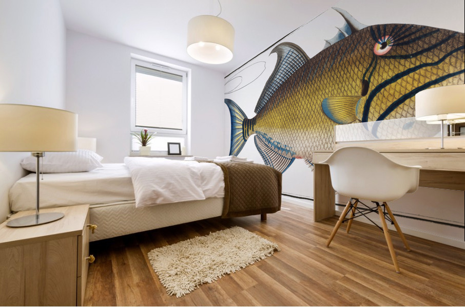 Old-Wife Balistes Vetula Mural print