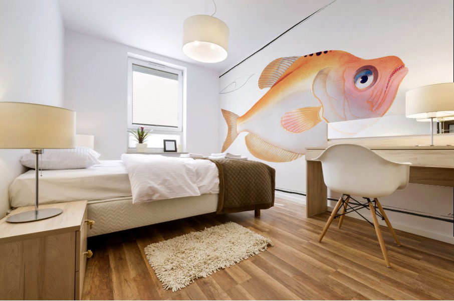 Kyrtus indicus Mural print