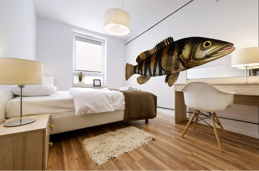 Double-streaked Holocentre Holocentrus fasciatus Mural print