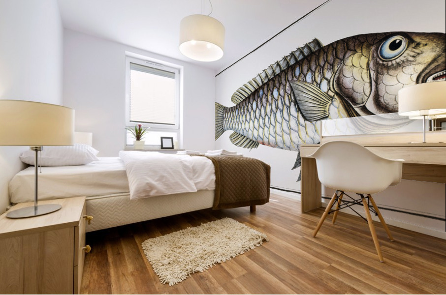 Sparus Abildgaardi Mural print