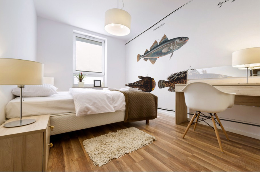 1. Poor Gadus Minutus 2. 3. Toald-Fish Gadus Tau Mural print