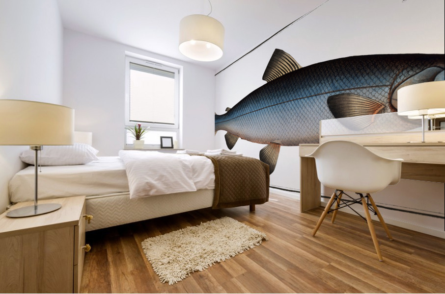 Plumiers Umber Sciaena Plümieri Mural print