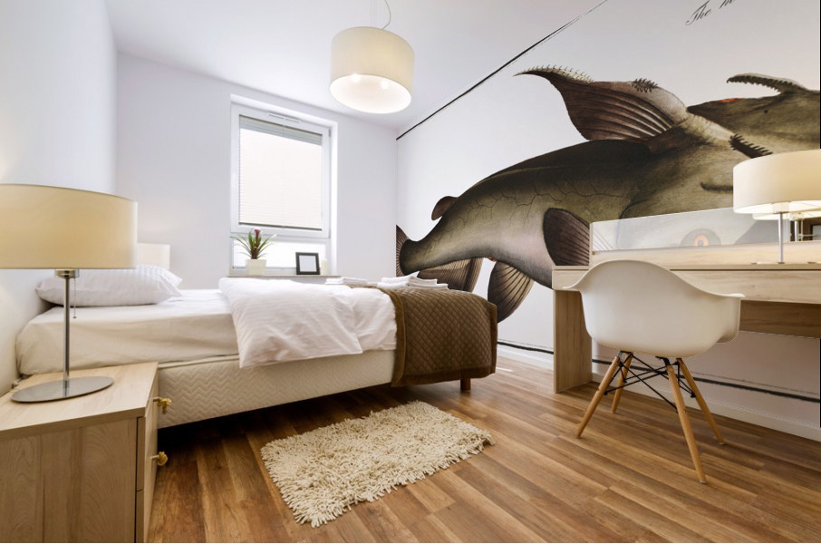 Horned Silure Silurus militaris Mural print