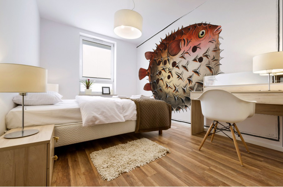 Prickly Bottlefish Diodon orbicularis Mural print