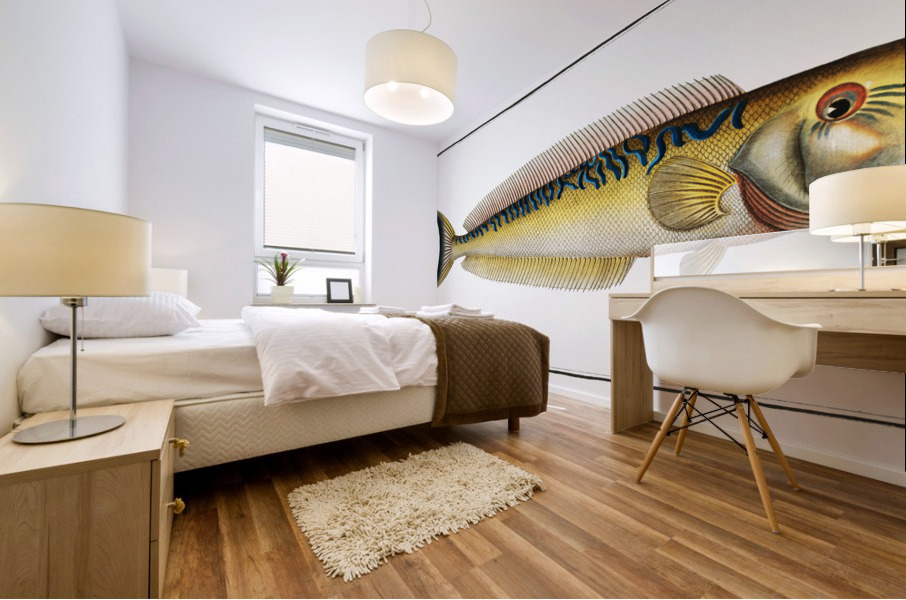 Sea Pea-Cock Coryphaena Plumieri Mural print