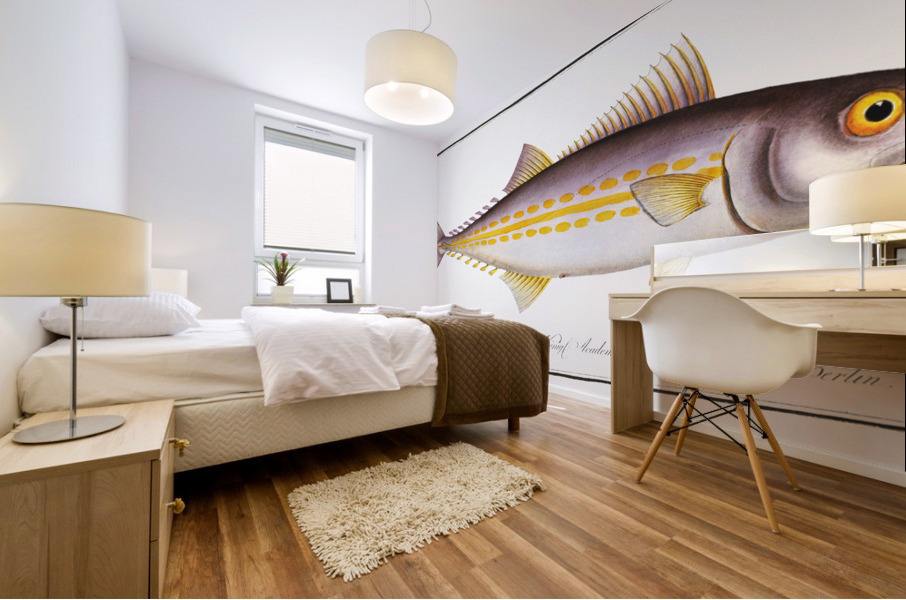 Kings fish Scomber regalis Mural print