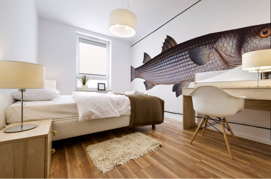 Mullet Mugil cephalus Mural print