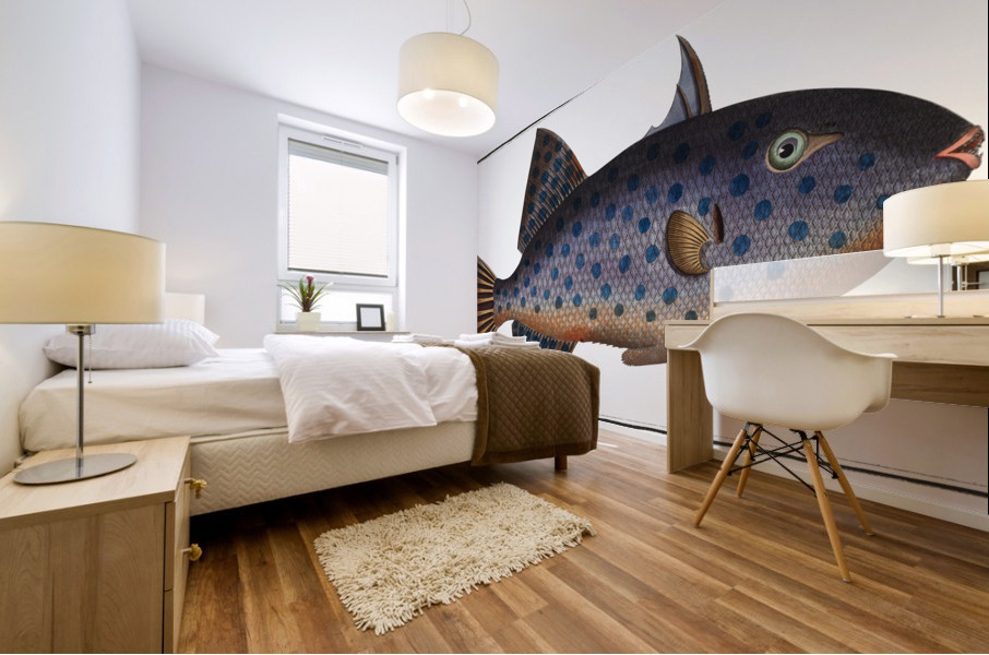 Long File-Fish Balistes maculatus Mural print