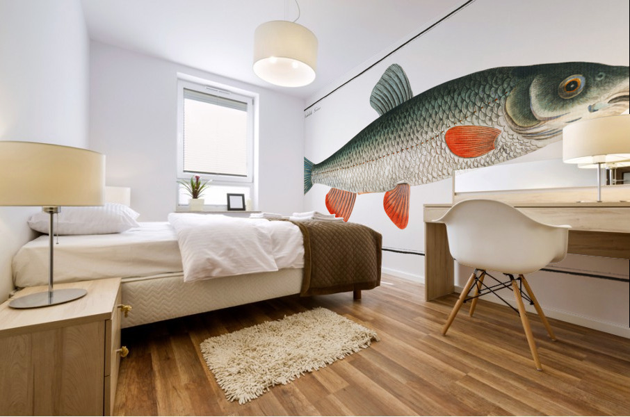 Nase-Carp Cyprinus Nasus Mural print