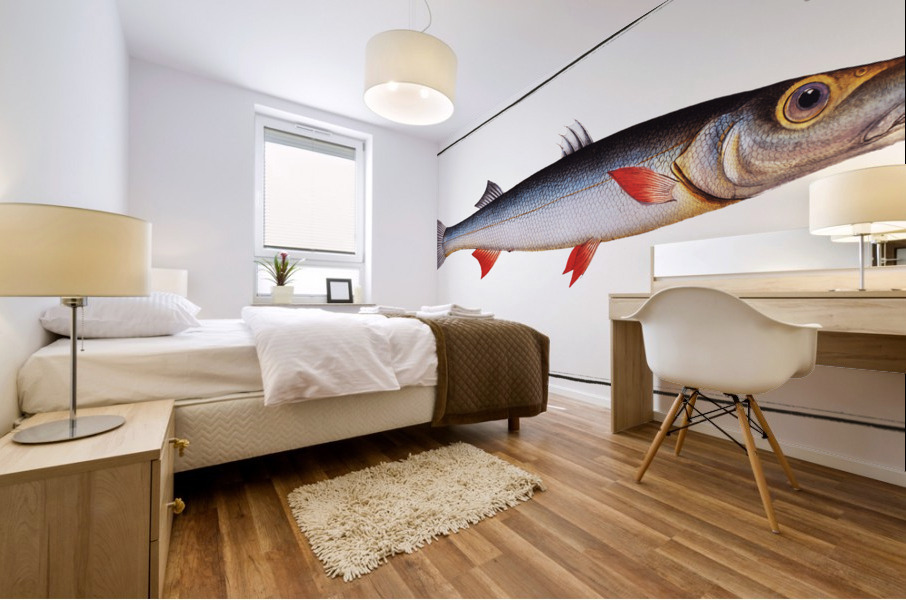 Sea-Pike Esox Sphyraena Mural print