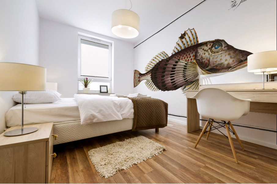 Smaller Flying-Fish Trigla Carolina Mural print