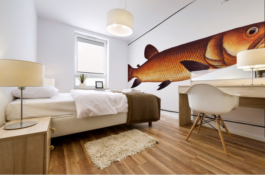 Odoe Salmo Odoe Mural print