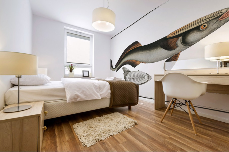 Sucking-Fish Echeneis Neucrates Mural print