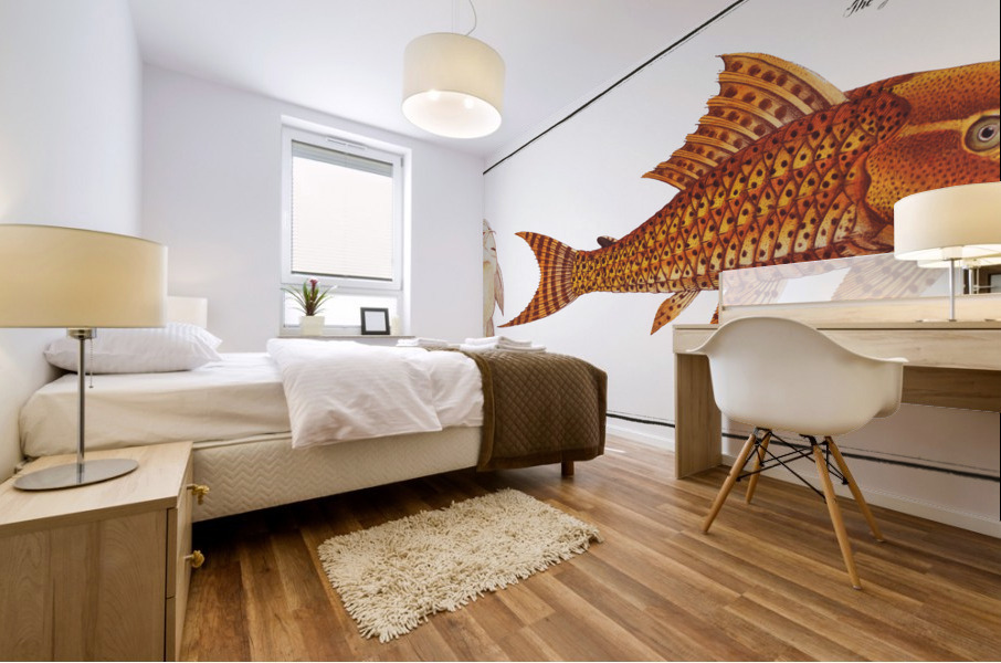 Guacari Loricaria plecostomus Mural print