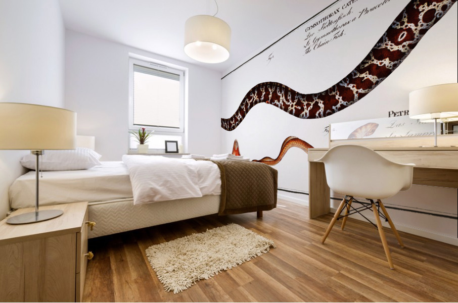 1. Chain-Fish Gymnothorax catenatus 2. Silver-Lamprey Petromyzon agrenteus Mural print