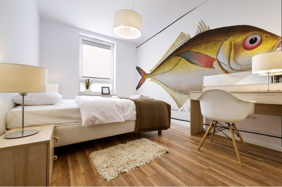 Green Mackrel Scomber Chloris Mural print