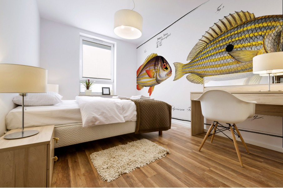 1. Pacu Perca unimaculata 2. Jub Perca Juba Mural print