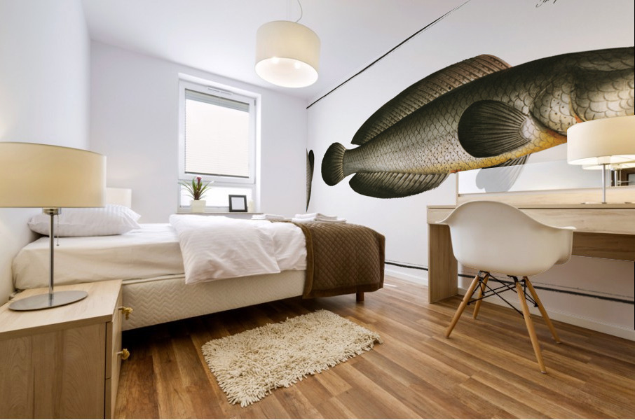 Punctulated Snake-head Ophicephalus punctatus Mural print