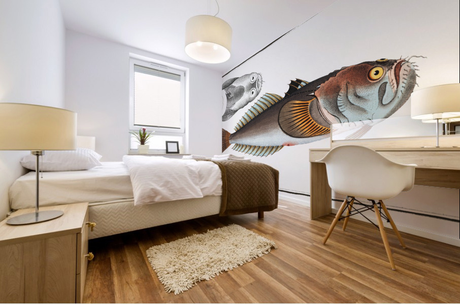 Star-Gazer Uranoscopus Scaber Mural print