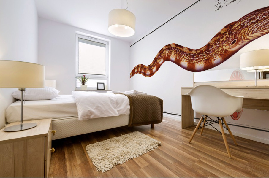 Netting Bare-Breast Gymnothorax reticulatus Mural print