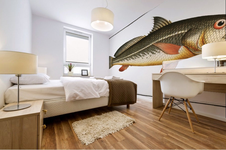 Karutt Johnius Carutta Mural print