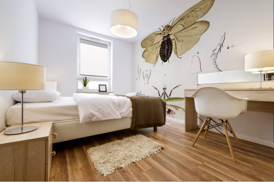 Different types of insects Mural print