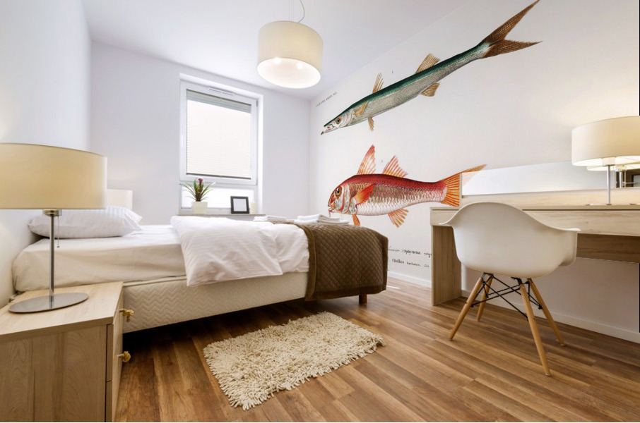 Different types of fishes Mural print