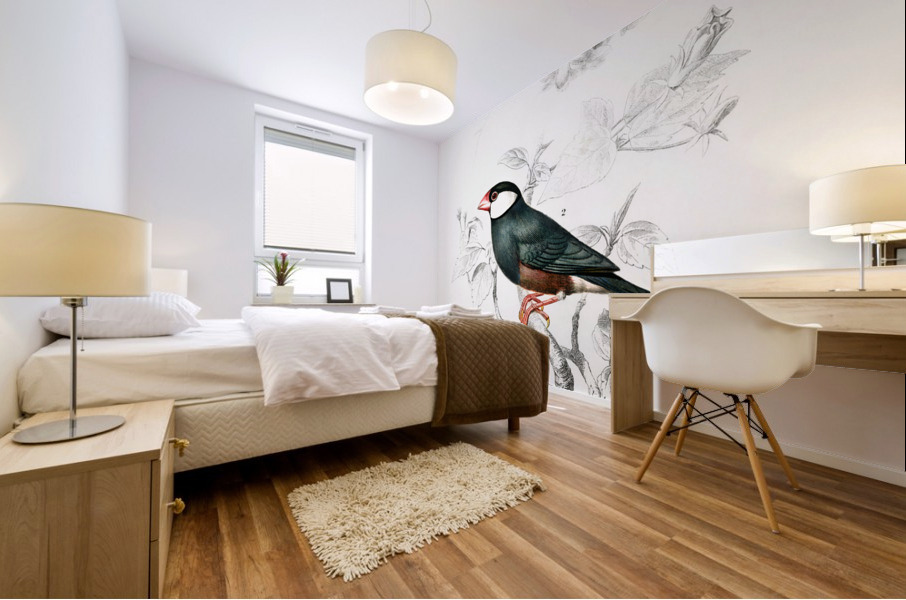 Red-cheeked Cordonbleu Uraeginthus Bengalus and Java Sparrow Lonchura Oryzivora Mural print