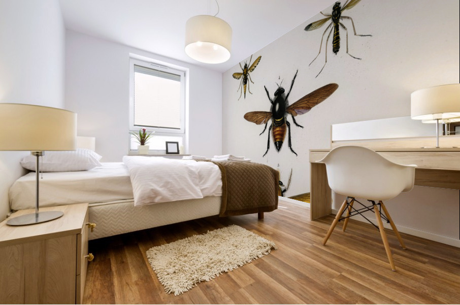 Different types of insects Mural print