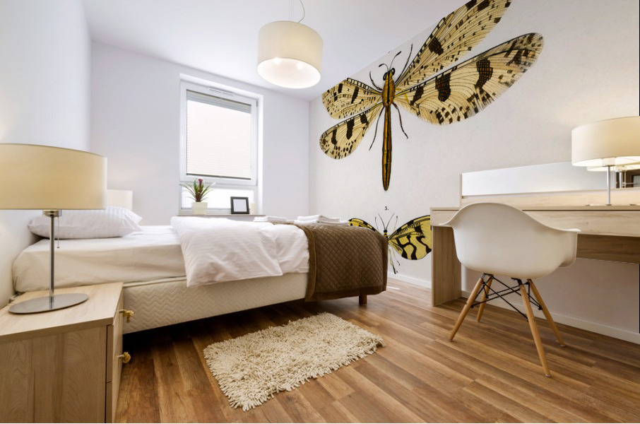 Collection of insects Mural print