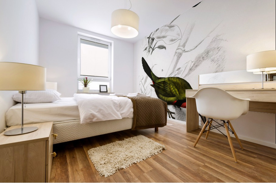 Different types of birds Mural print