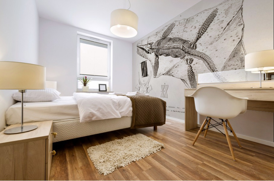Chthyosaurus Mural print
