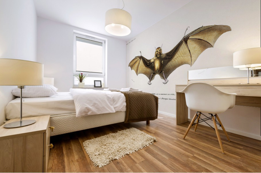 Bat Roufsette Mural print
