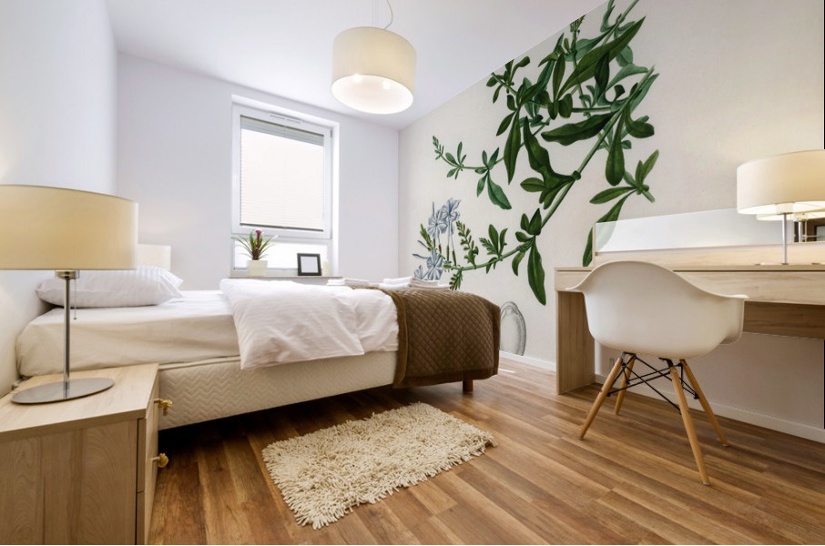 Plumbago Capensis Mural print