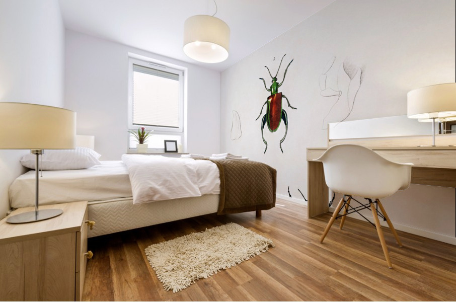 Different types of weevils Mural print