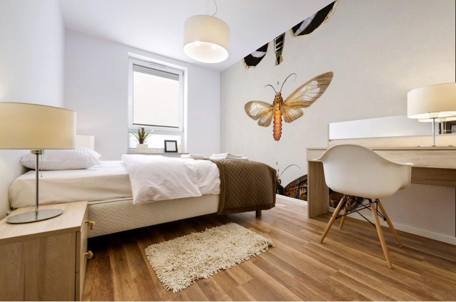 Different types of moths Mural print