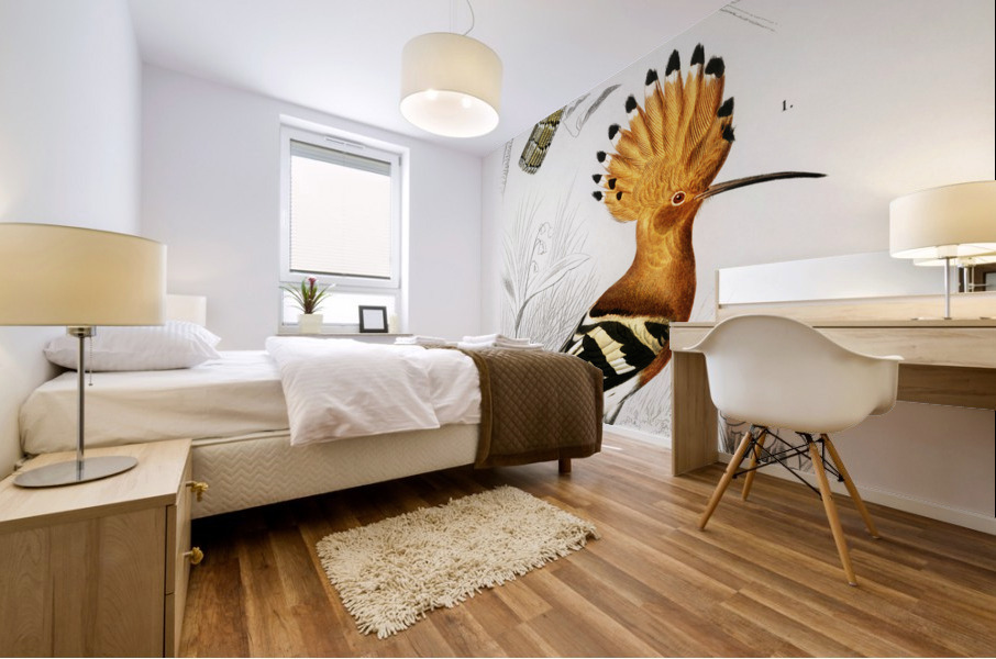 Different types of birds Mural print