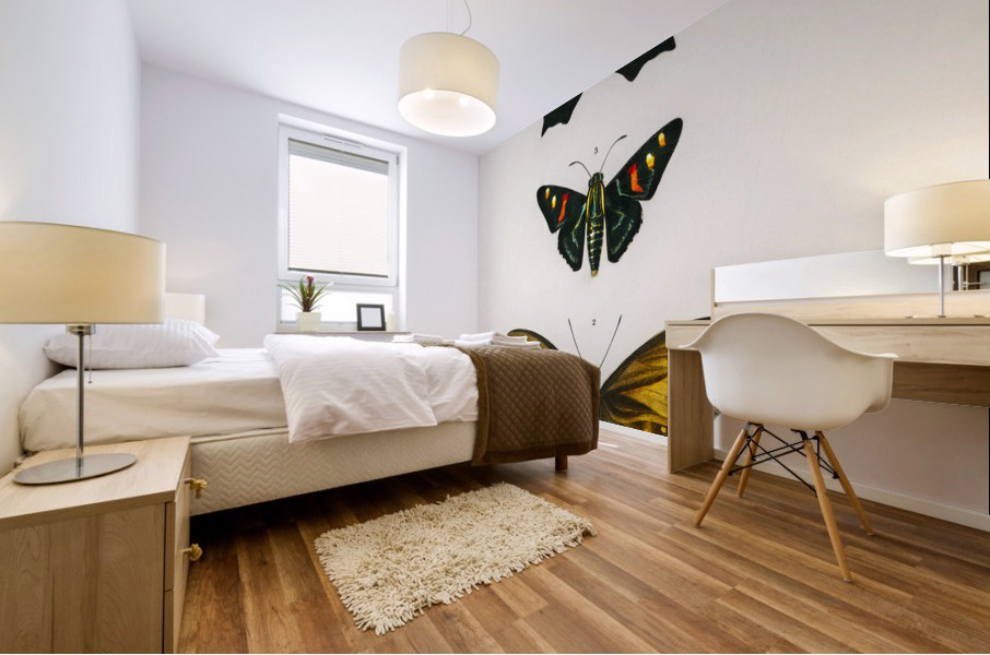 Different types of butterfly Mural print