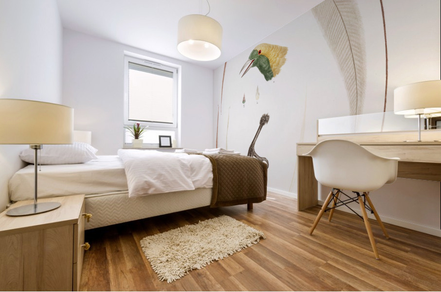 Emperor bird-of-paradise head claw feather and tail  Mural print