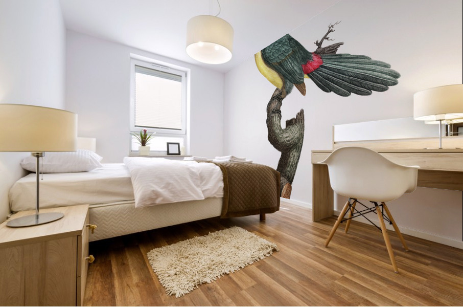 Green aracari  Mural print