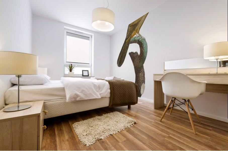 White-cheeked Jay  Mural print