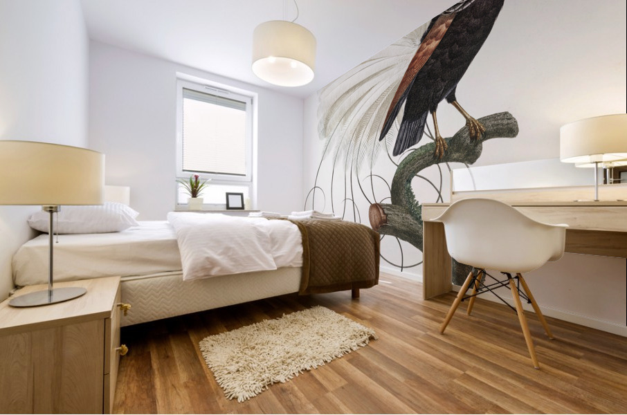 Twelve wired bird of paradise  Mural print