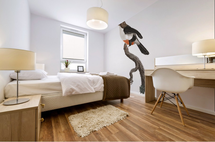 Little barbet  Mural print