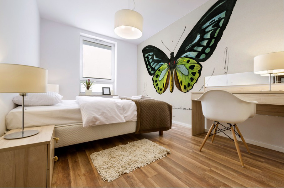 Green birdwing Ornithoptera priamus Mural print