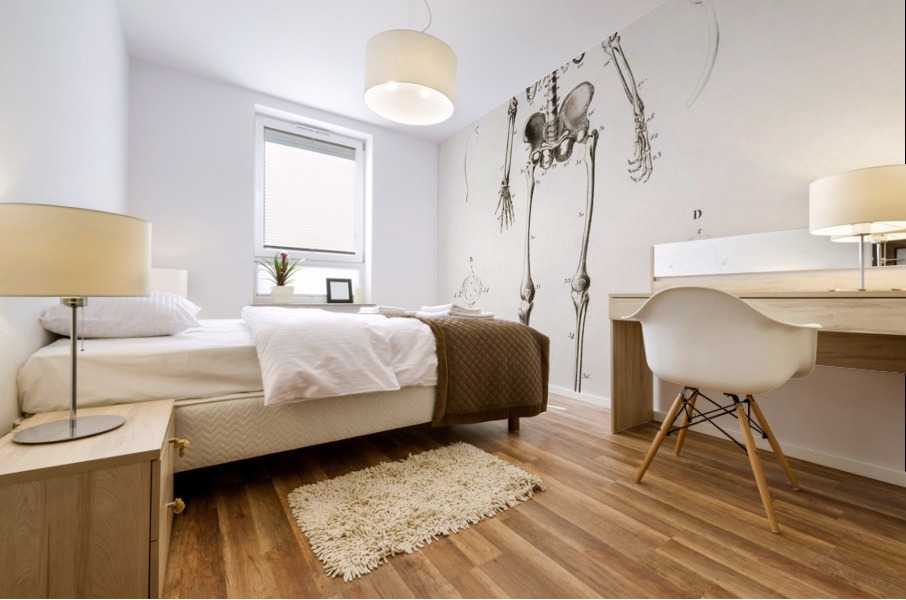 Collection of butterflies Mural print