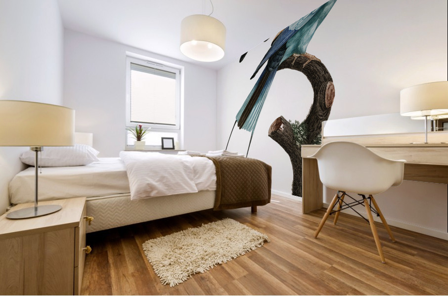 Magnificent bird of paradise female  Mural print