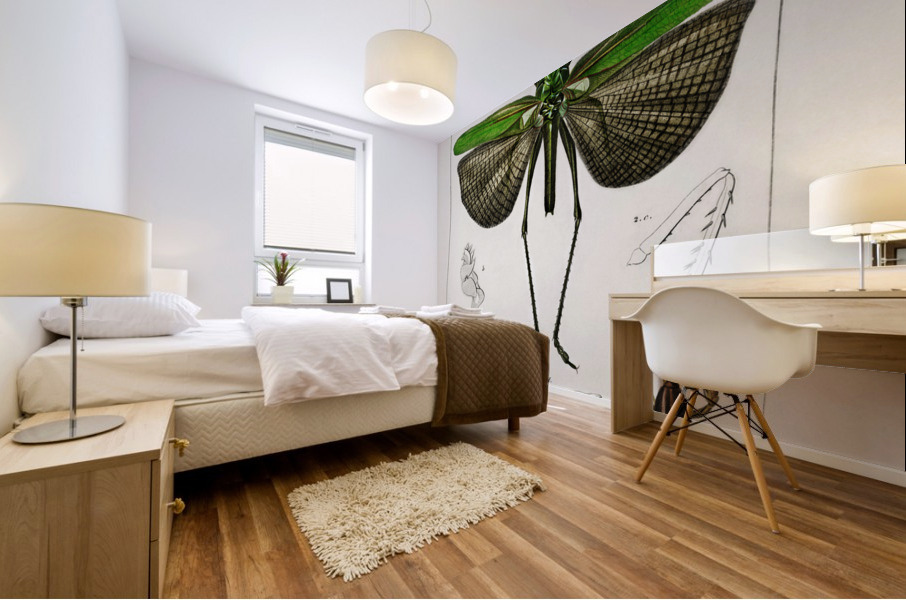 Blue Jay  Mural print