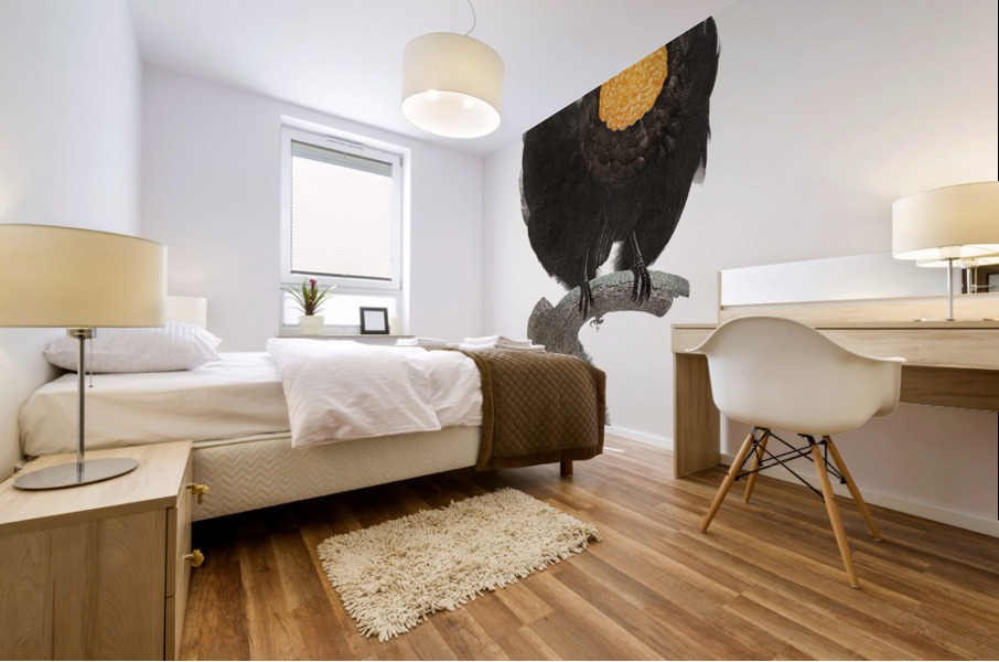 Western parotia  Mural print