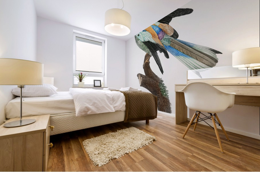 Abyssinian roller male  Mural print