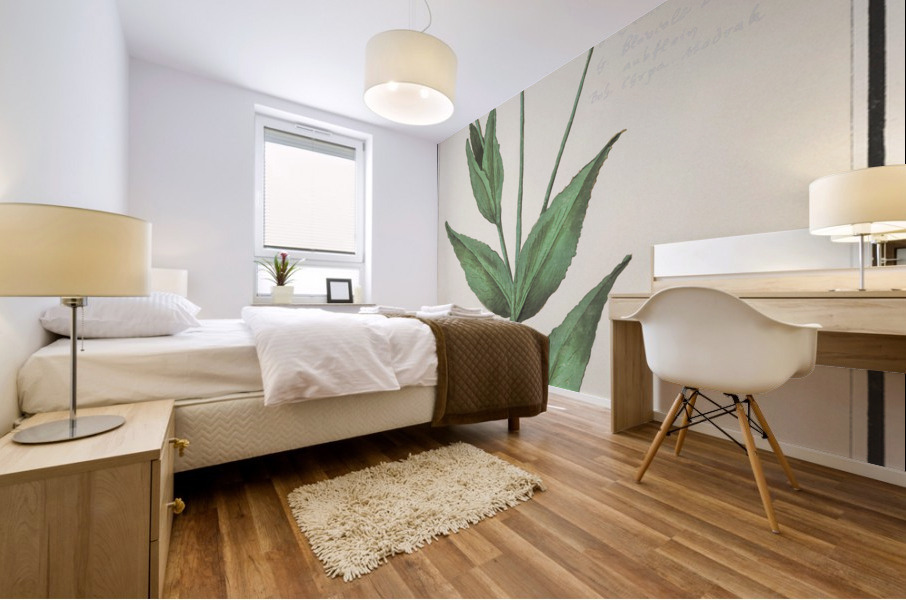 Centaury flower in vintage style Mural print